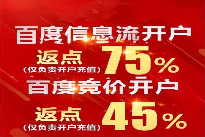 解析百度搜索推广的广告投放策略及效果